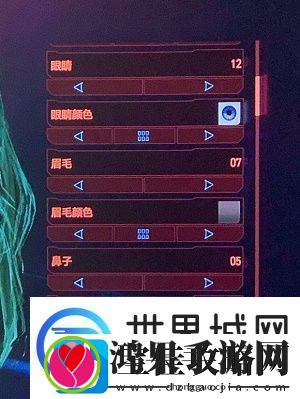 赛博朋克2077捏脸数据大全