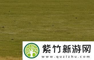 挑战心得谈