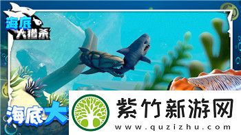 地下城堡3烹饪食材的样式与搭配技巧探秘