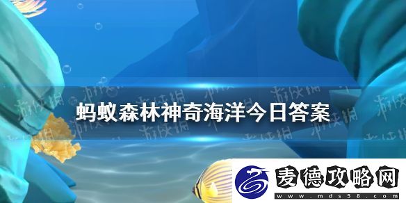 以下哪种海洋动物是恒温动物