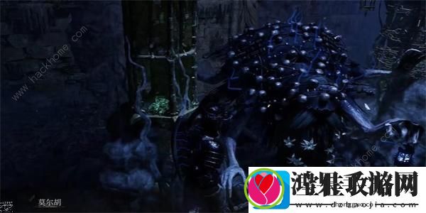 堕落之主预言之符咒怎么得