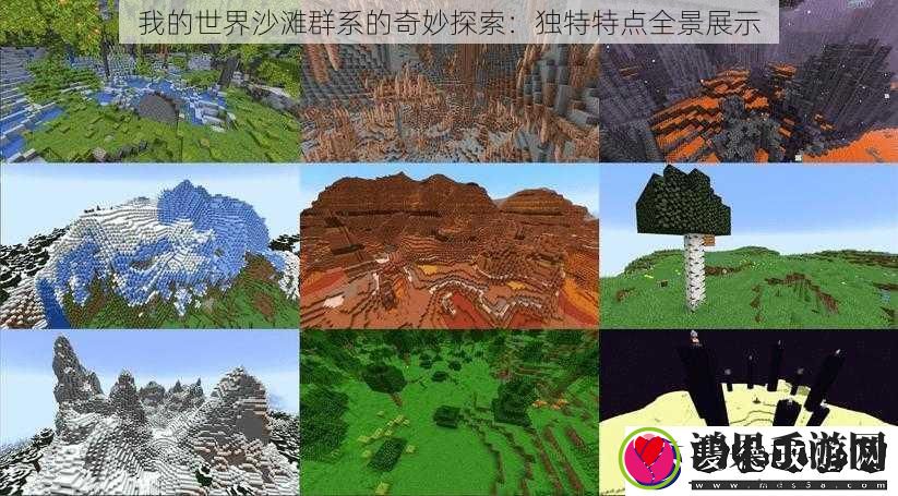 我的世界沙滩群系的奇妙探索