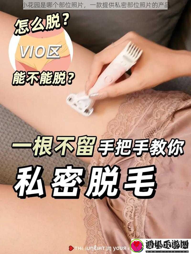 一款提供私密部位照片的产品