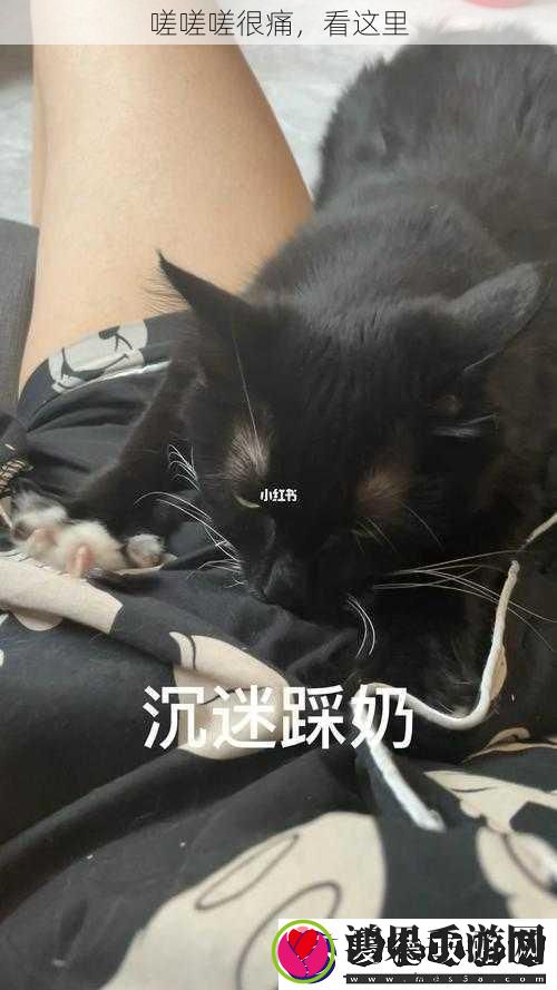 看这里