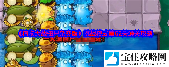 植物大战僵尸杂交版挑战模式第62关详细通关技巧与策略分享
