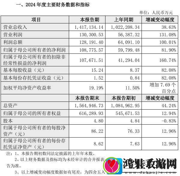 九号公司2024年业绩大增