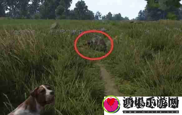天国拯救2任务猛禽流程详细图文版
