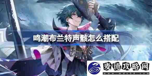 鸣潮布兰特声骸推荐