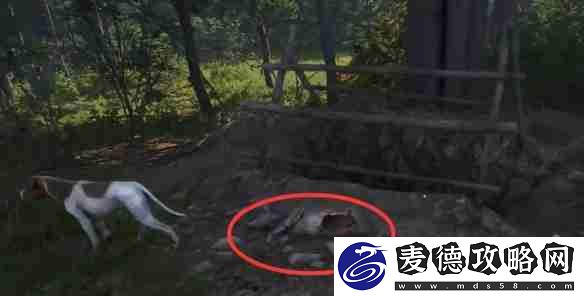 天国拯救2任务猛禽流程详细图文版