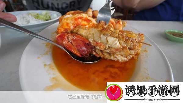 幻塔香脆烤鱼秘籍