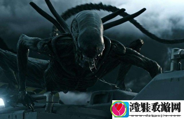 英雄联盟虚空打野新英雄介绍