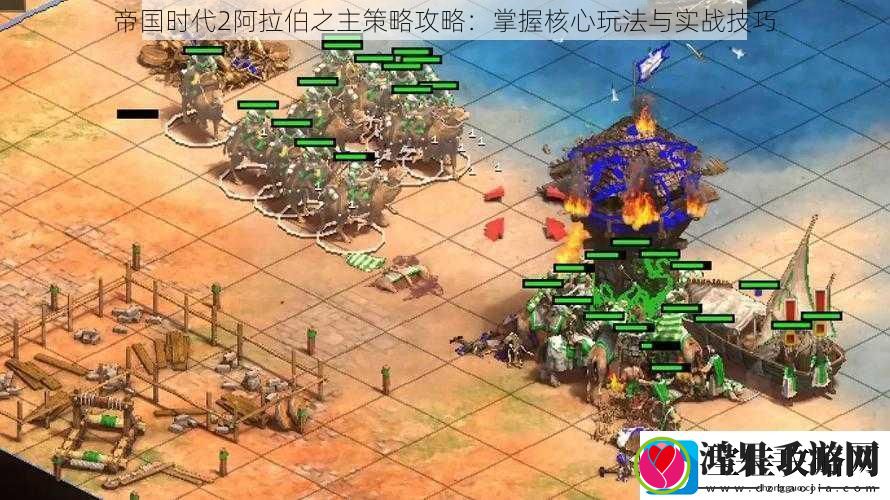 帝国时代2阿拉伯之主策略攻略