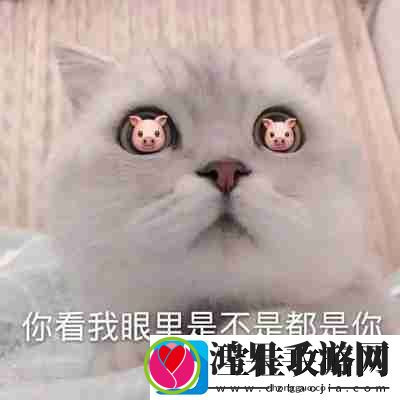 兜风吗妹妹表情包