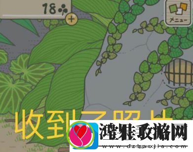 旅行青蛙旅行归来是怎么样的