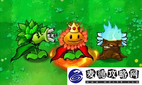 青云志领域怎么玩-从新手快速到精通的全面攻略揭秘！你准备好了吗？
