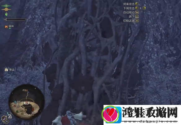 怪物猎人荒野龙都遗迹安全营地在哪里介绍