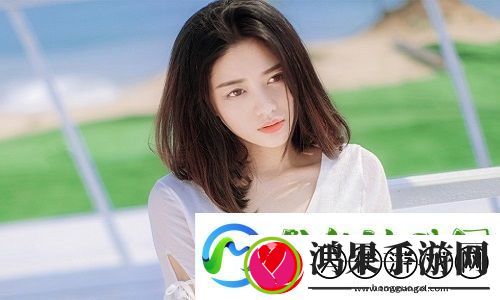 韩国理论大全被热议