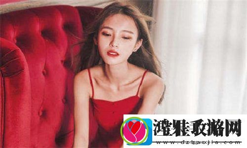 成品网站1.1.719上线！打造一站式建站解决方案的革新之作！