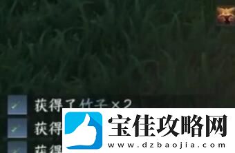 逆水寒手游方承意生辰活动第三日玩法解析