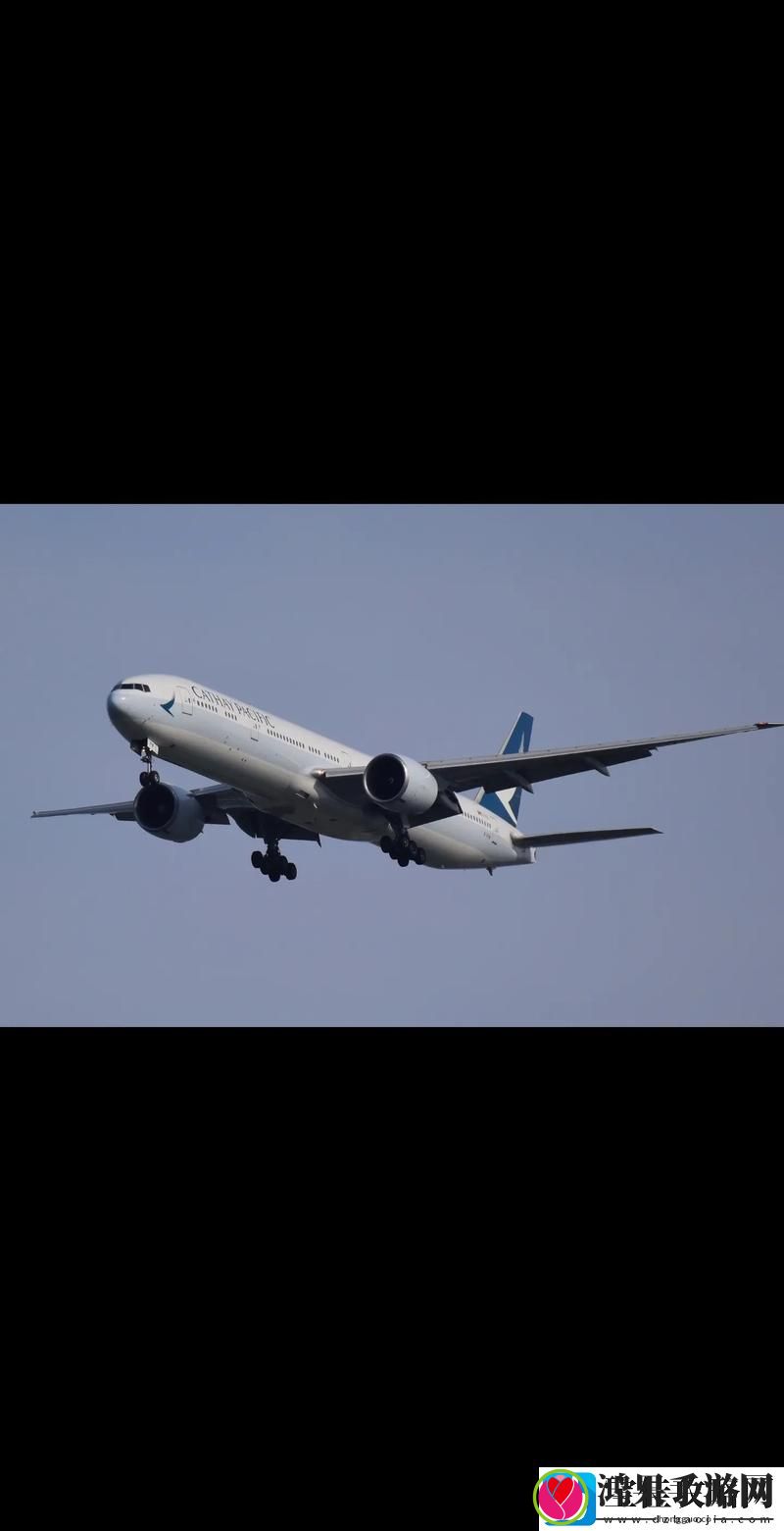 7777视频