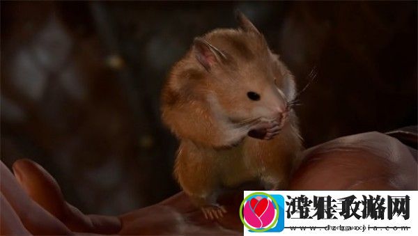 博德之门3去哪里找仓鼠博德之门3仓鼠位置分享