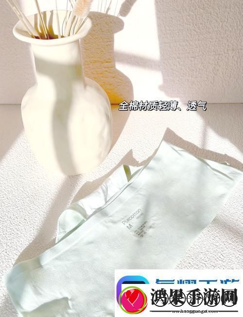 探索时尚与舒适的结合——蜜桃91精品㊙️入口内裤
