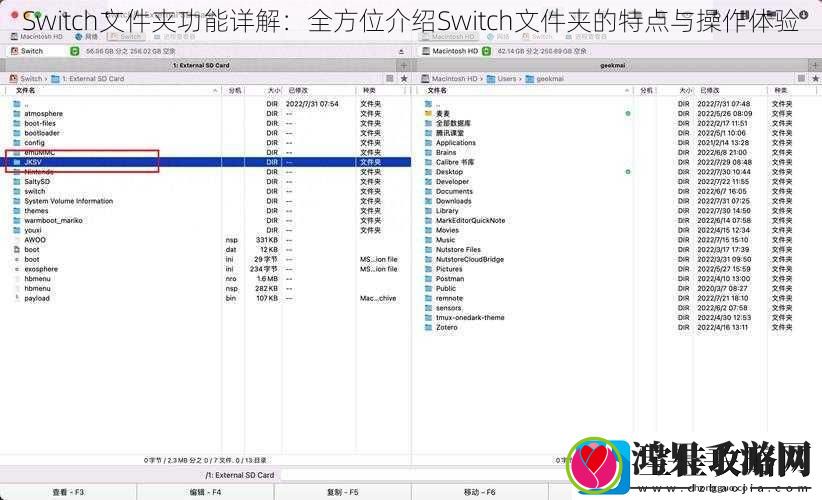 Switch文件夹功能详解