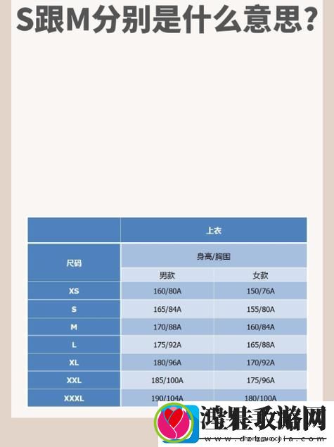 内容丰富亚洲专线S码和M码的区别