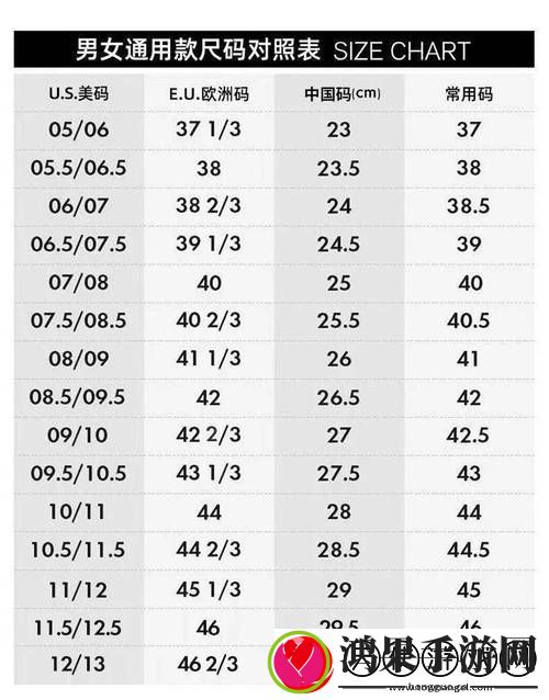 欧亚尺码专线免费2024