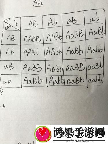 AABB与AAAA的差异