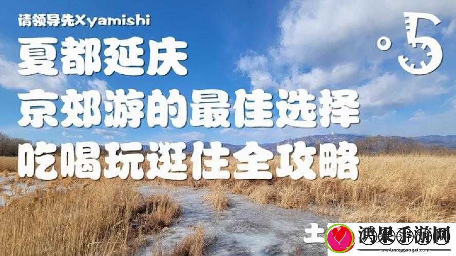 免费黄应用