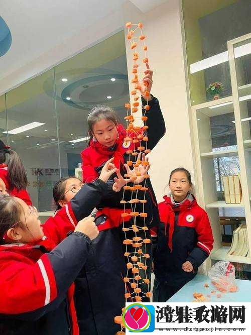 拨萝卜做钢筋