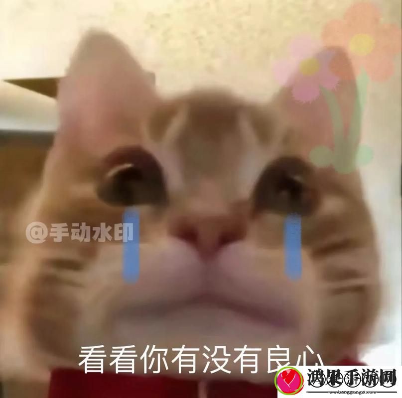 男人把QQ号放进女人表情包里