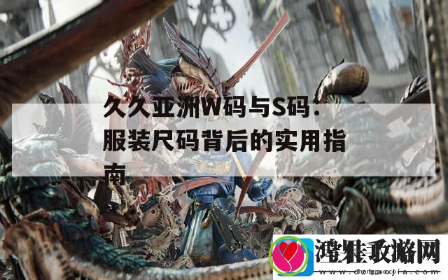 久久亚洲W码与S码