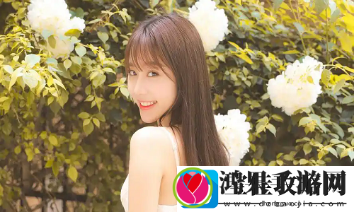 免费高清在线观看人数在哪