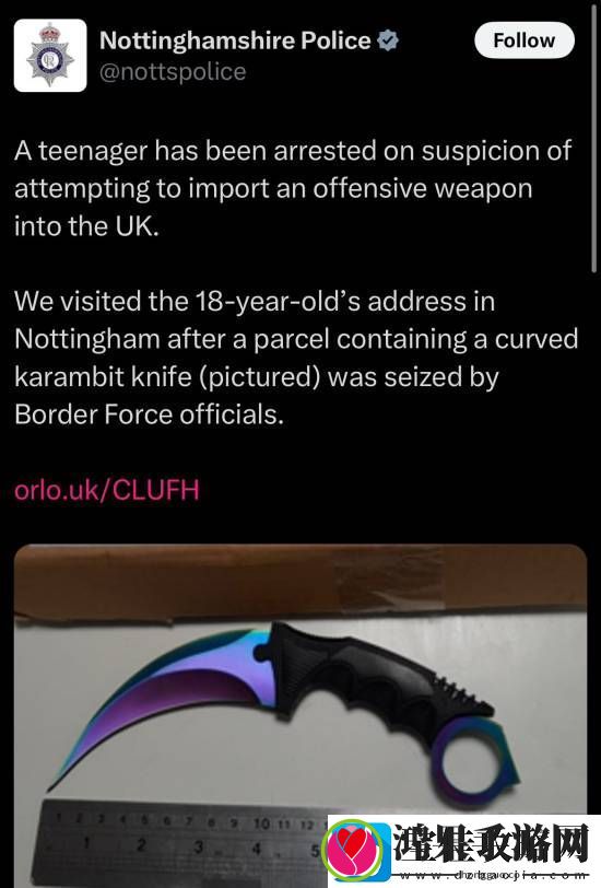 英国少年买CS玩具爪子刀被**收缴