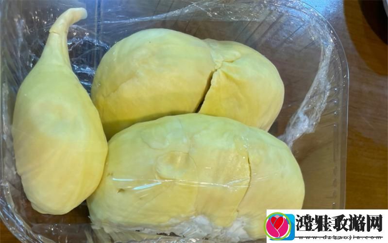 新探索文化与娱乐的交汇点——lll.999榴莲视频的魅力