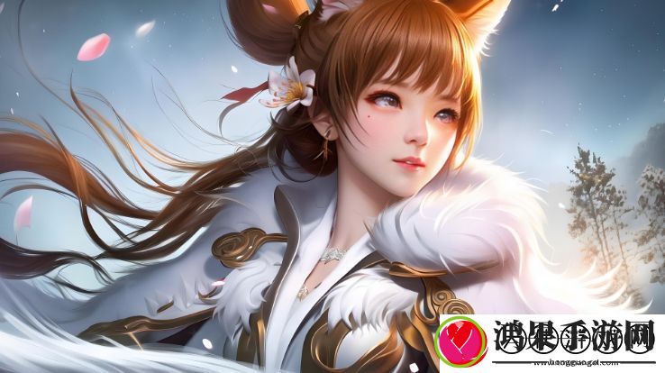 精华区二区和88888金三角的区别与投资分析