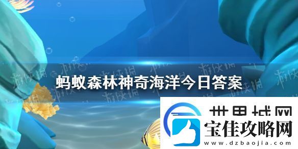以下哪种海洋动物没有耳廓