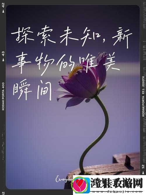 成免费