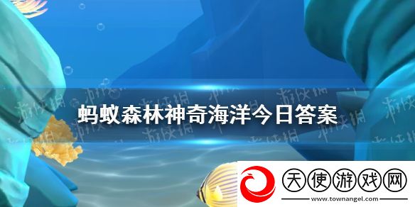 以下哪种海洋生物俗称海核桃