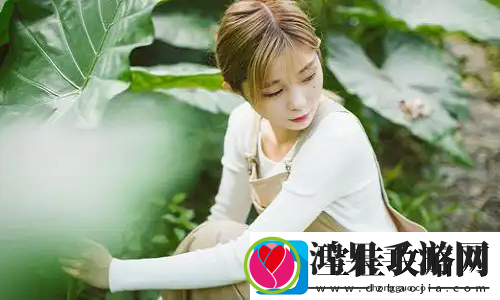 丰满的**HD中字版热议
