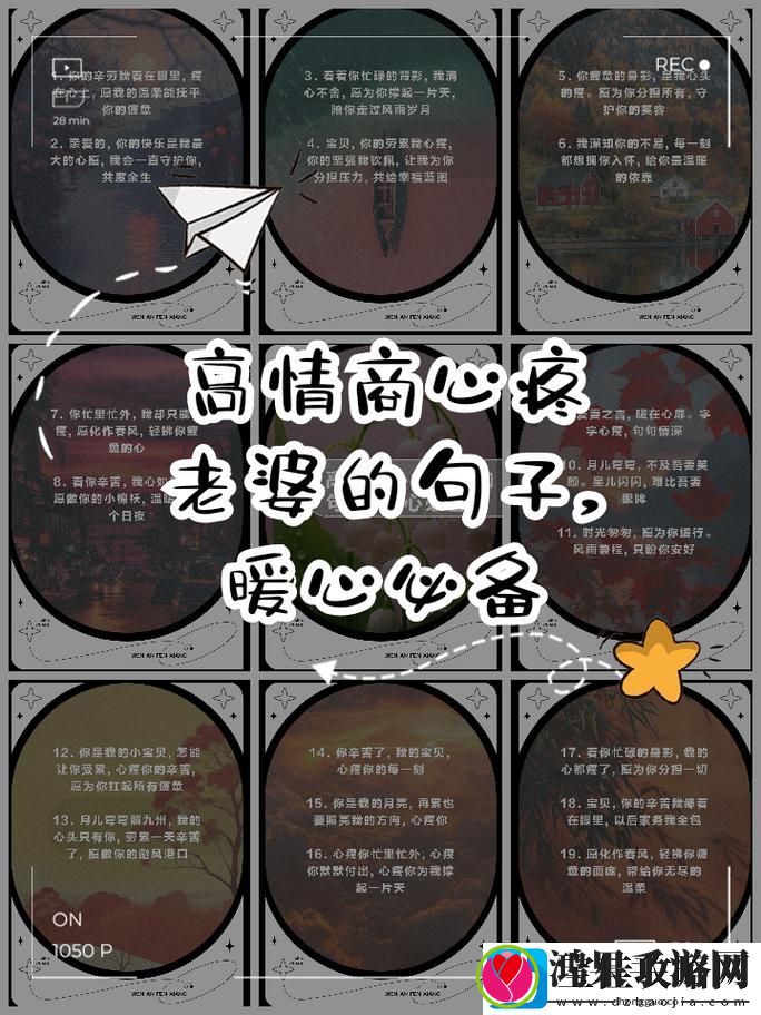 爱情与道德的碰撞