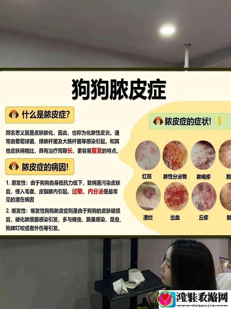 狗狗和人胶配方大全高清下载上线