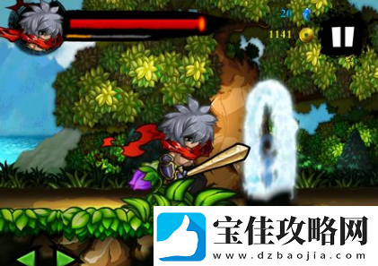 武士与忍者
