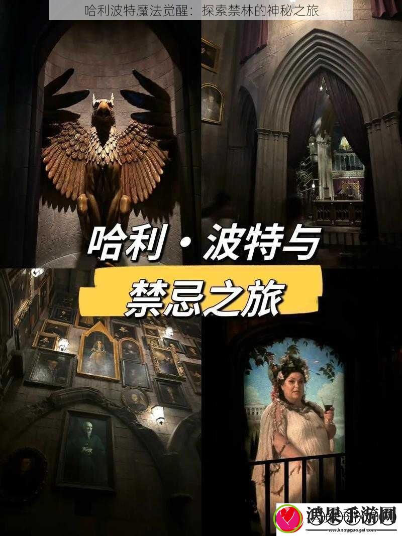 哈利波特魔法觉醒