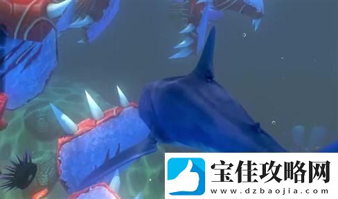 如何驾驶永久雷诺
