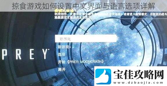 掠食游戏如何设置中文界面与语言选项详解