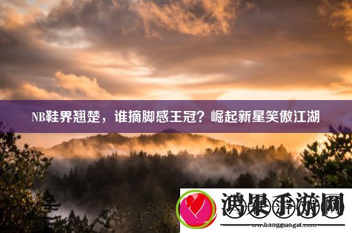 NB鞋界翘楚