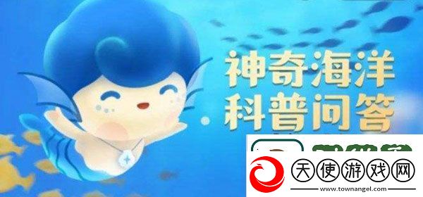 猜一猜：下列动物中属于最小的海兽是